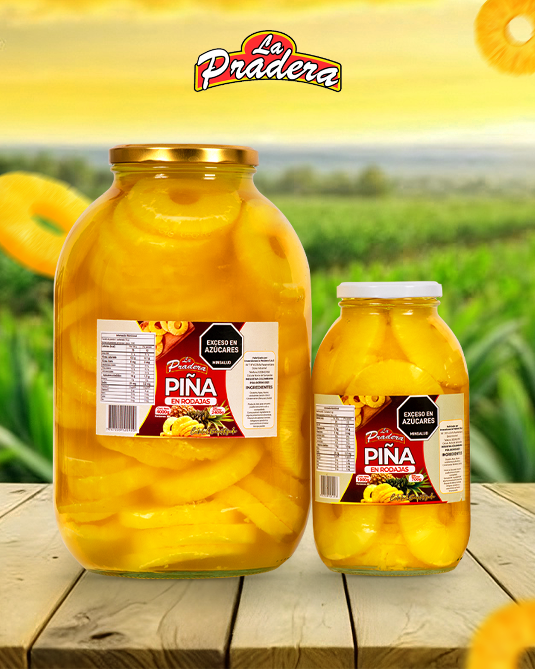 Piña en Rodajas