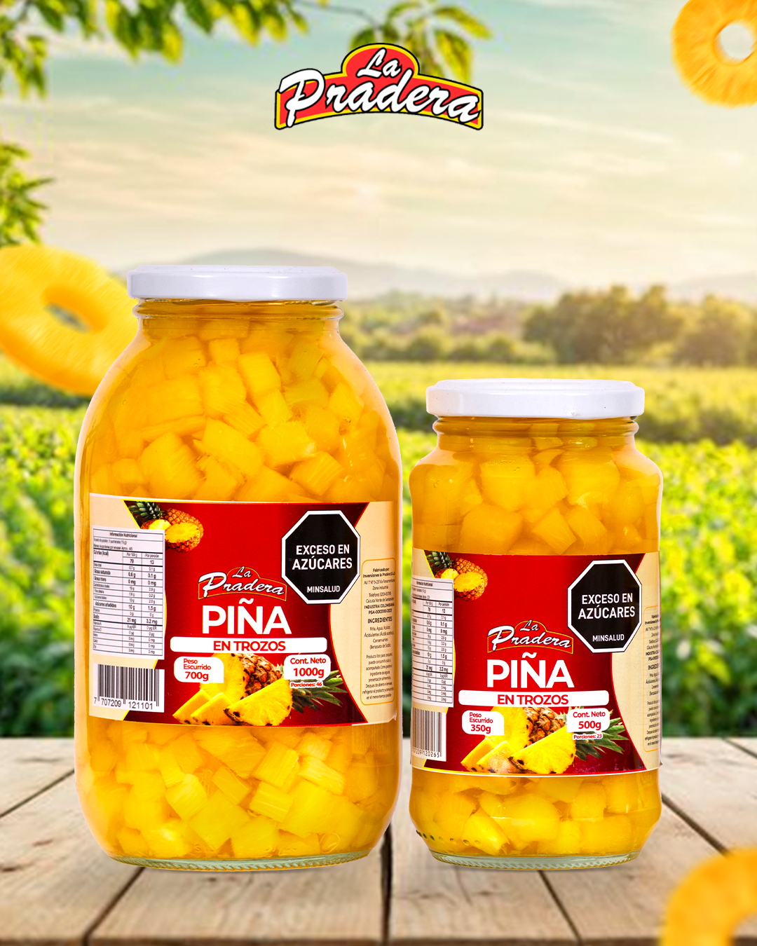 Piña en Trozos
