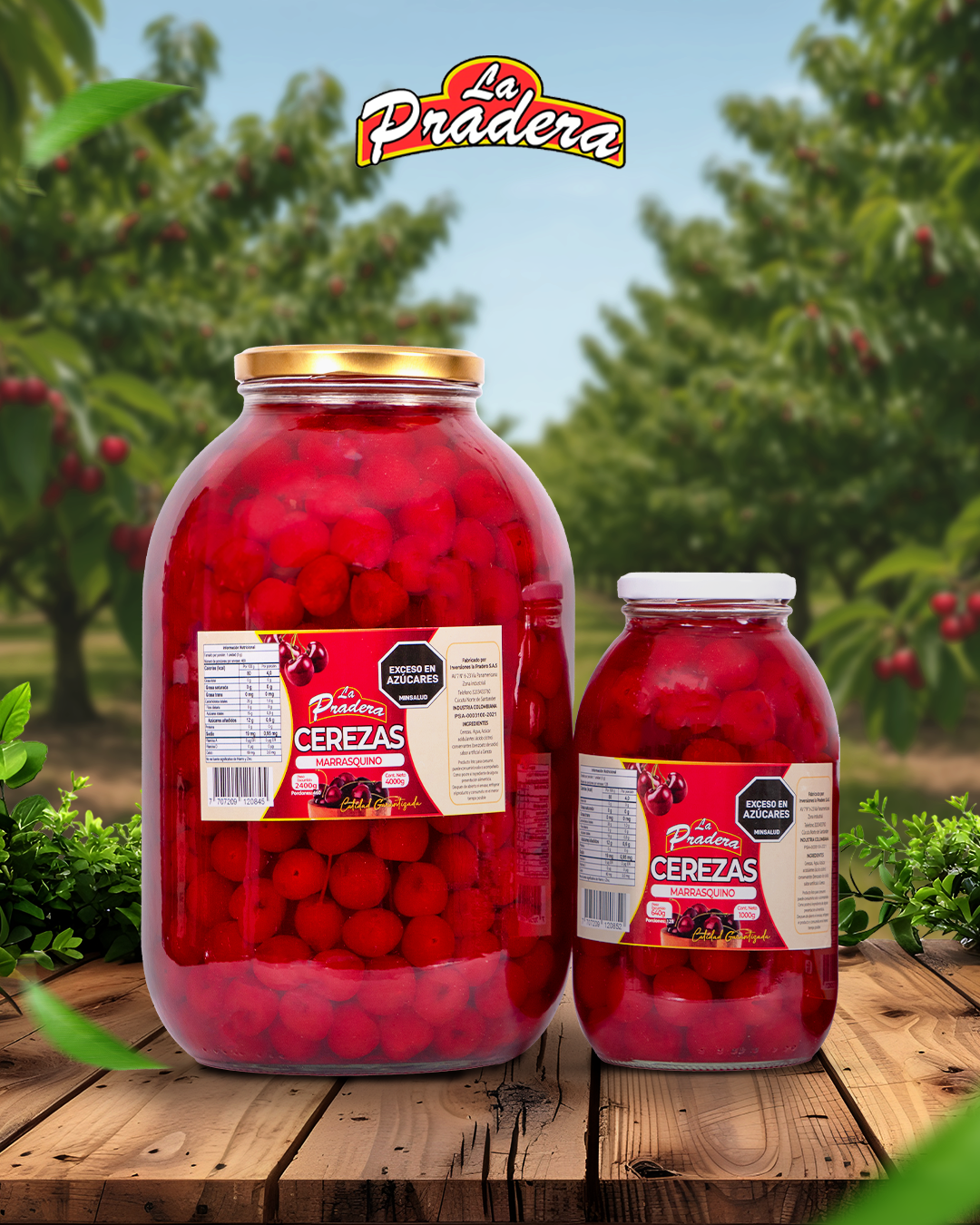 Cerezas Marrasquino
